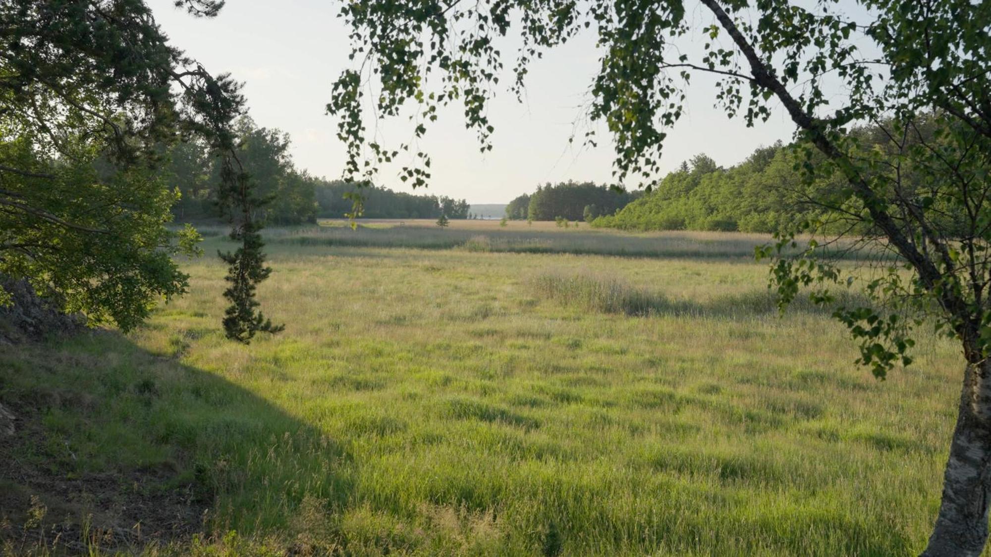 Landet, Designer Cabins In The Swedish Archipelago Västerljung Exterior foto